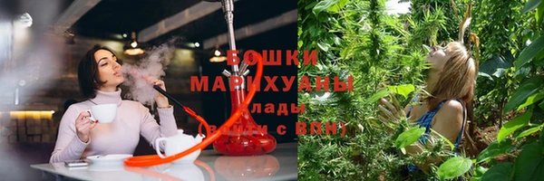 дмт Кукмор